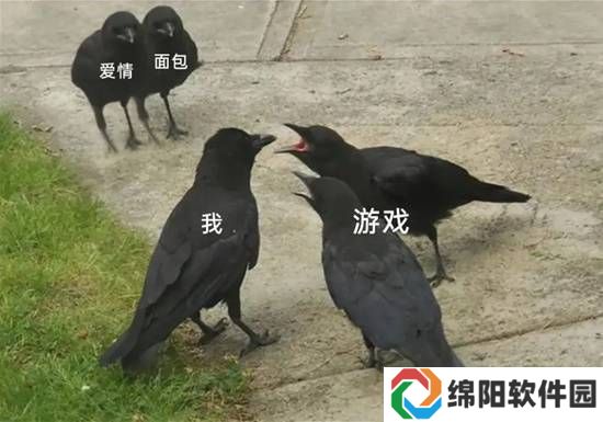 极乐软件园